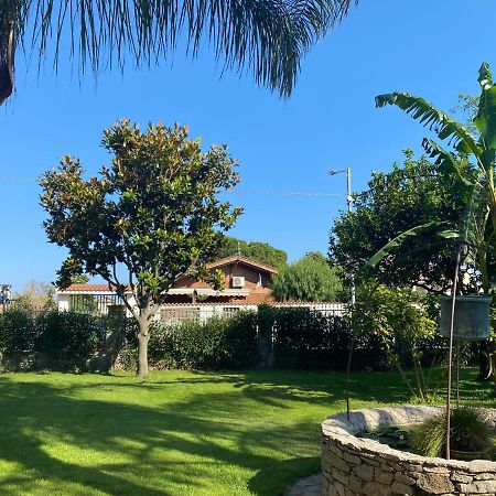 מליטו די פורטו סאלבו B&B Il Giardino Delle Meraviglie מראה חיצוני תמונה