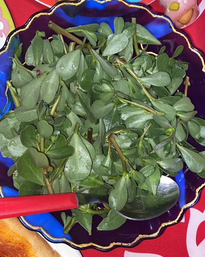 מליטו די פורטו סאלבו B&B Il Giardino Delle Meraviglie מראה חיצוני תמונה