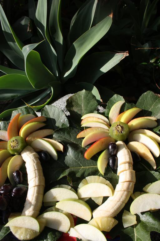 מליטו די פורטו סאלבו B&B Il Giardino Delle Meraviglie מראה חיצוני תמונה